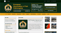 Desktop Screenshot of eafp.org
